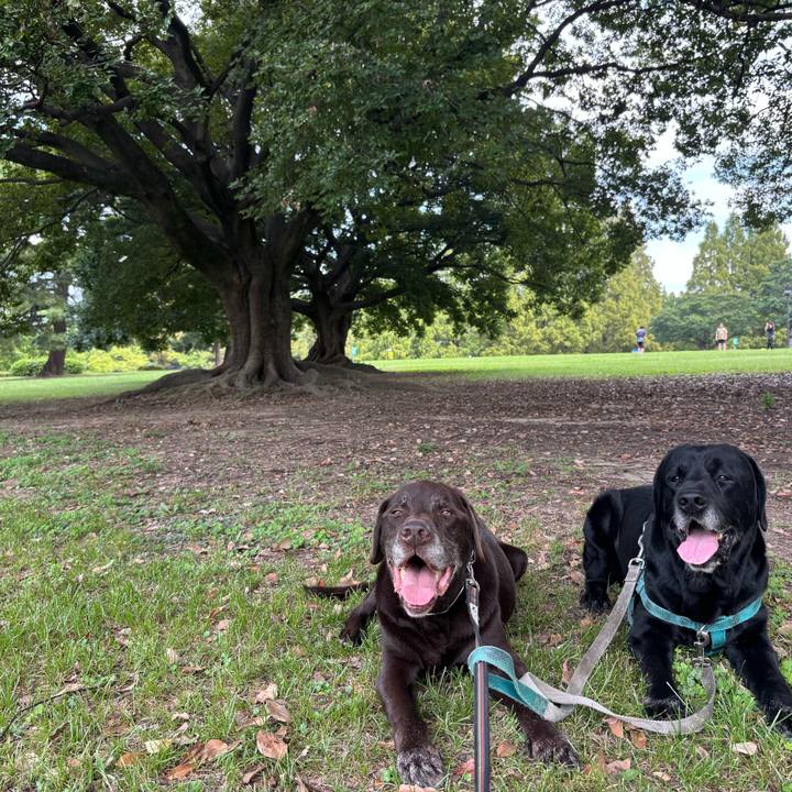 277673a2 8649 4cff 97bd 435358bbc1ef 1759232386627