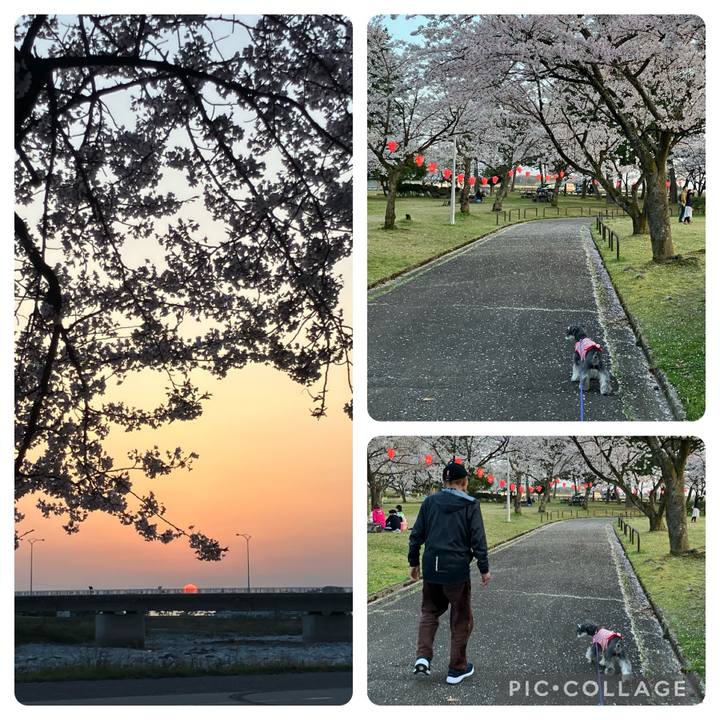 27767fcb fce4 49b2 81e9 ca04b7c244ac 1713186830770