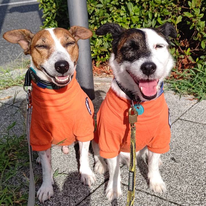 2776b32e a492 438f 9b11 e1bb9f652500 1692225738784