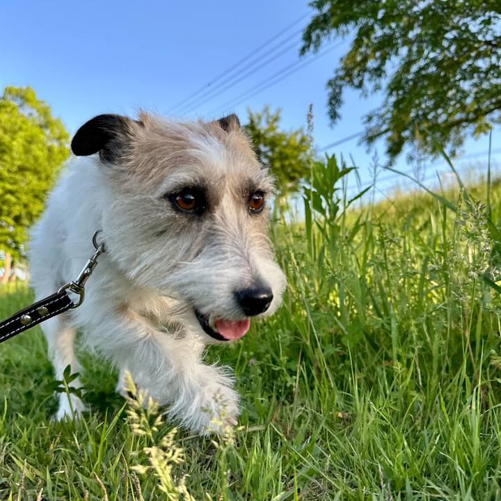 2776b3bf ae4d 4141 9281 c6feb4c82215 1746716761452