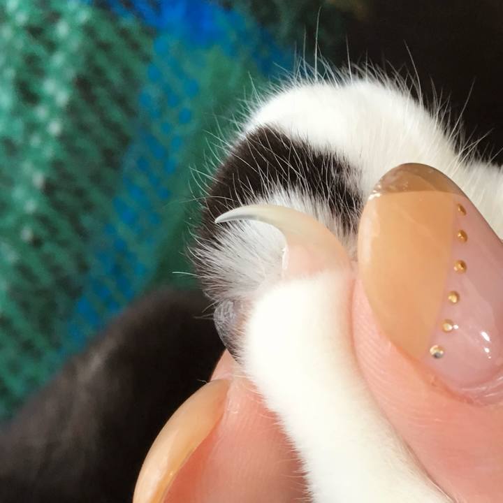 2776b8b7 d6fb 48d2 96aa efac8edc8cba 1774598540224