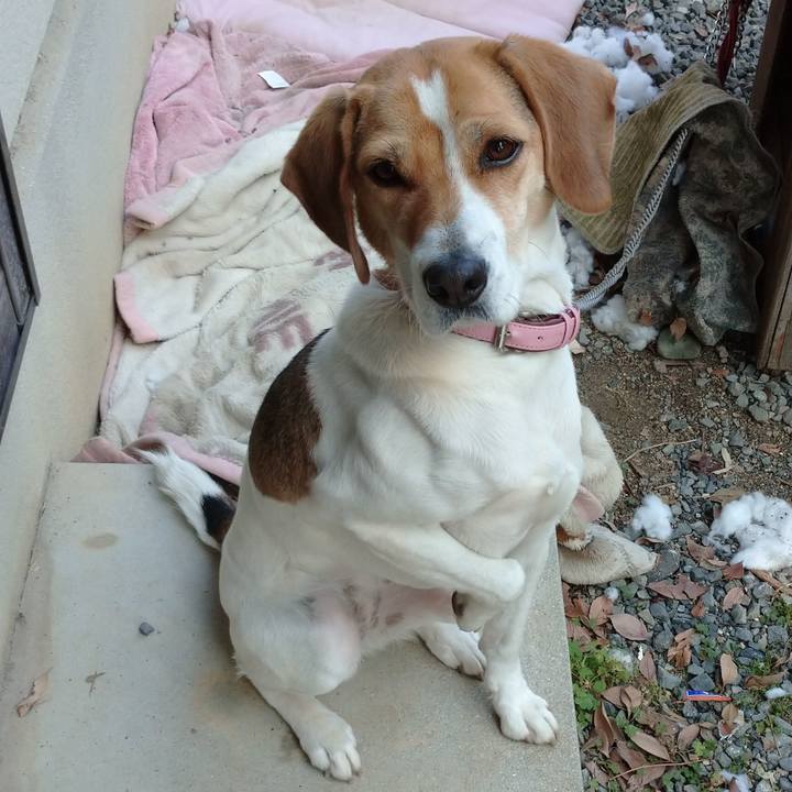 2777203d f4f2 468a 90c4 7c22bfd6dc3f 1577252588125