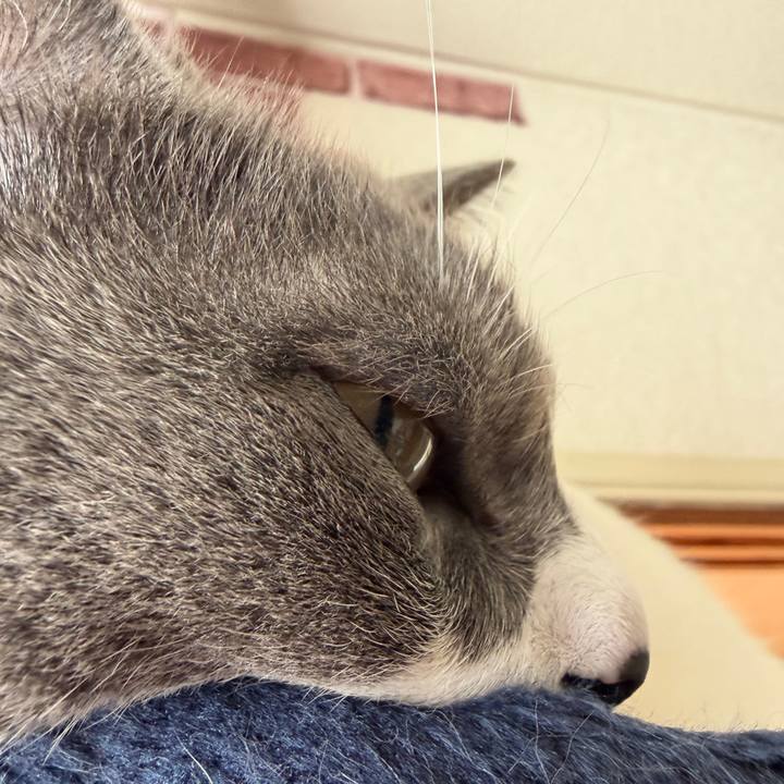 27772923 3a1e 4272 bb6b b33336d9c25a 1764806950006