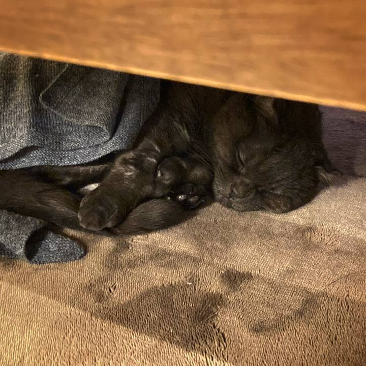 27774c21 ff70 457b 972b 31cc18a929be 1637671516465