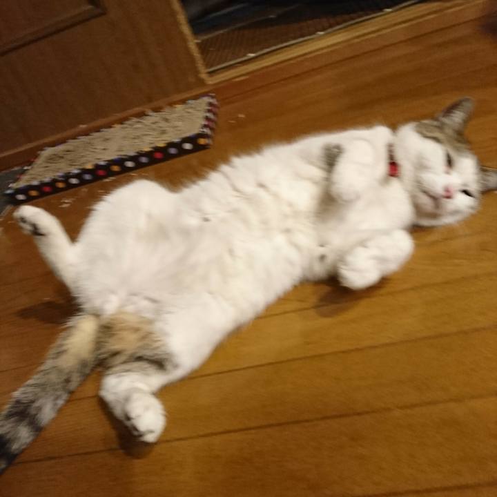 277755c1 1a35 45a5 85ad fb54f42664c3 1527612434316