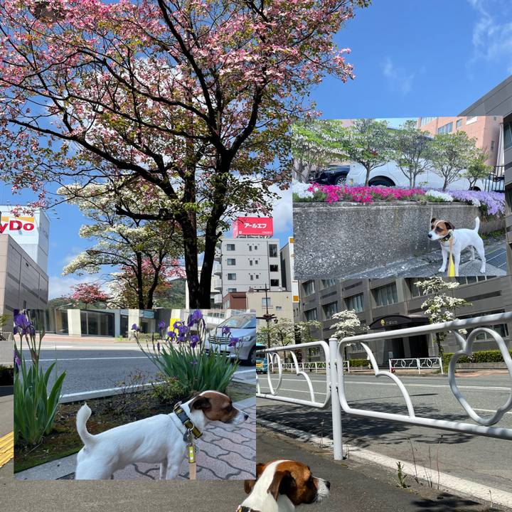 27776cb9 11ed 4302 9369 0150ca7a2d3b 1651460758151