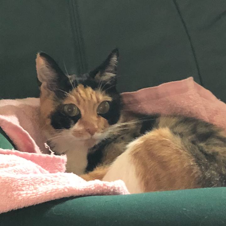 277785bb 40cc 428d bbea ef1bf43ed557 1536373964975