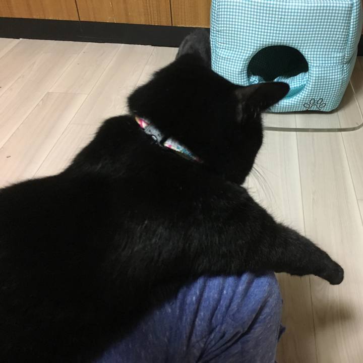 2777969b b2fa 4dbc bde7 4ad04443296c 1510665141868