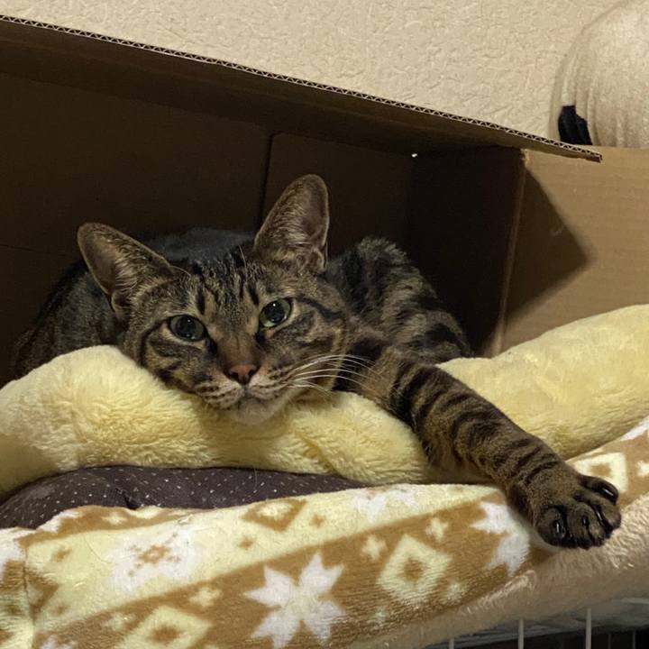 2777a342 2528 46ca ab8f 2110446dbefb 1647529792030