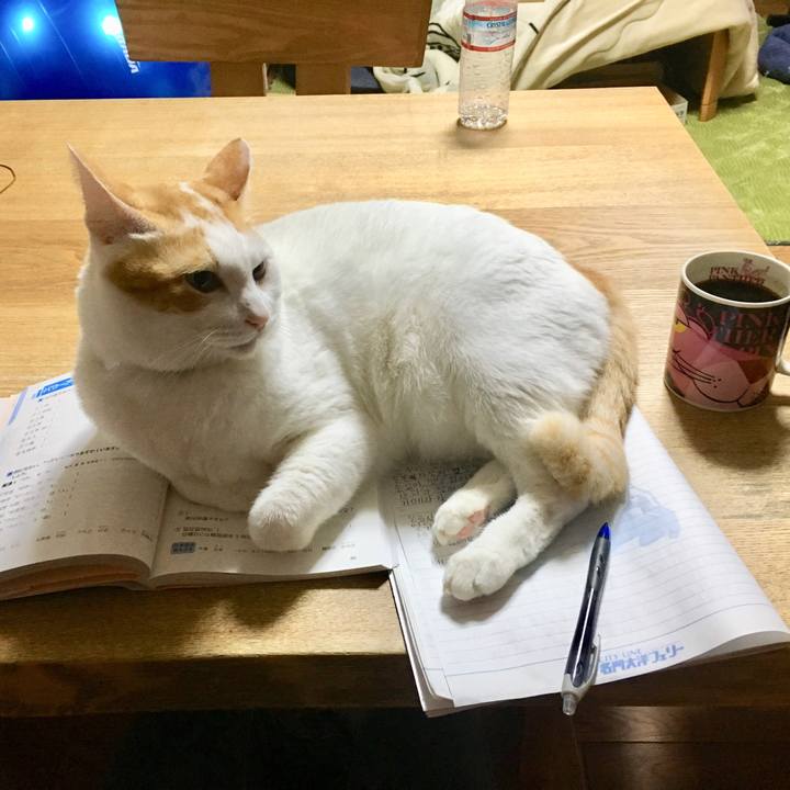 2777aa3b 980a 4b84 954c 5dce02a86399 1542834965008