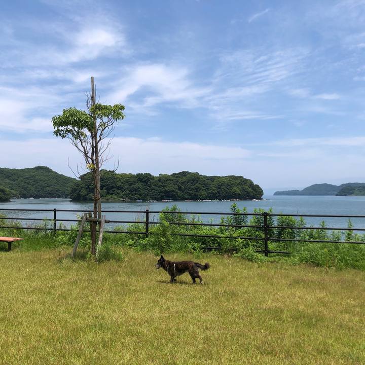 2777af2a eb87 4669 9317 eb0534c07aeb 1686306104022