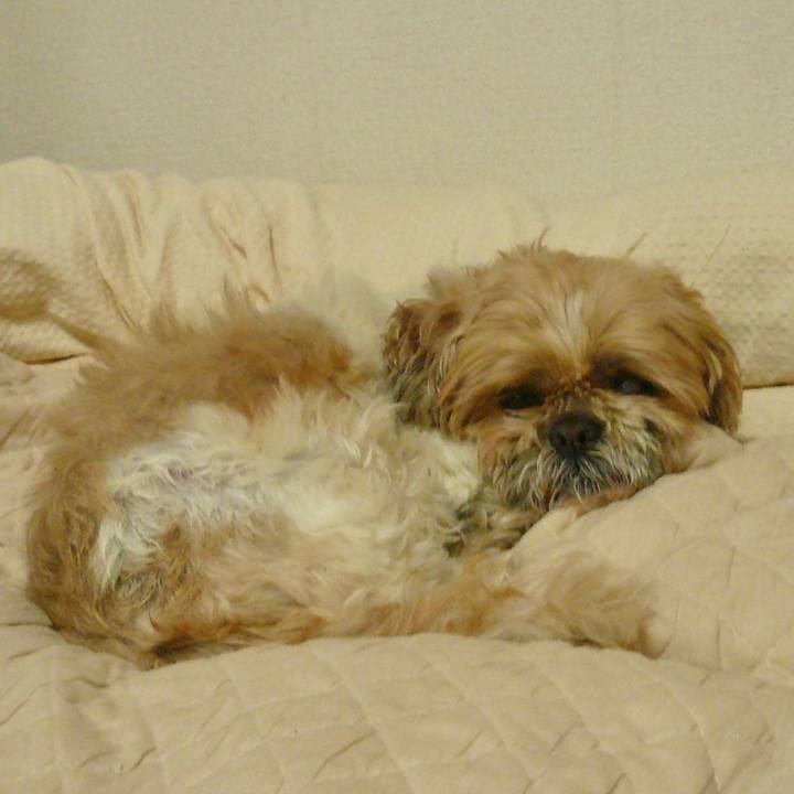 2777c7ec 8fc1 4a10 8494 d8f421cd741a 1624277394635