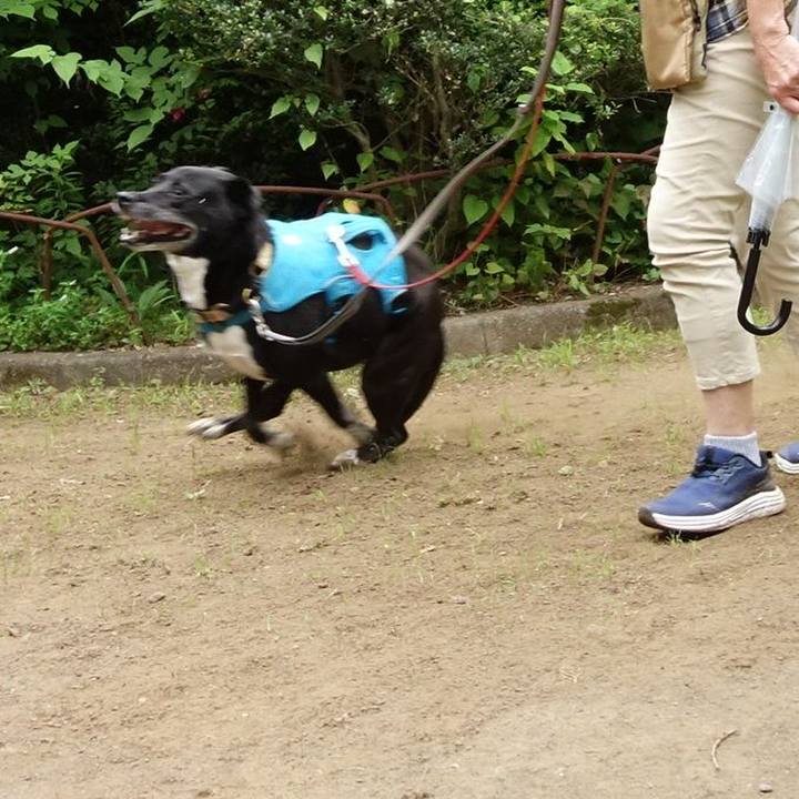 2777d01e dda0 42f0 9a21 a8f3ff2d6e6b 1720653020127