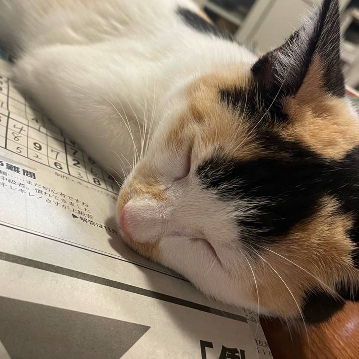 2777d837 0527 4eda b370 333146030784 1668339161297