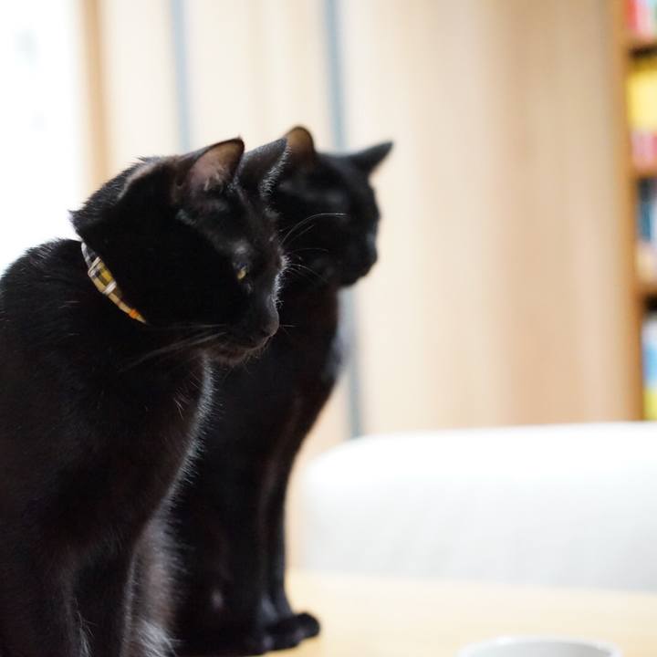 27781c23 f796 446c b5d9 ead8c6092d71 1551190421719