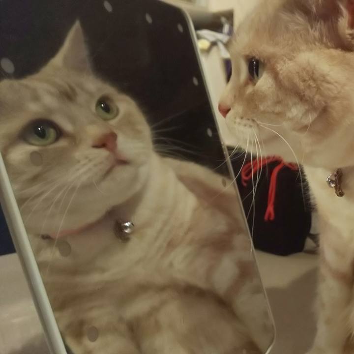 27782734 871d 4993 be8c 8988440ae7b3 1553507531392