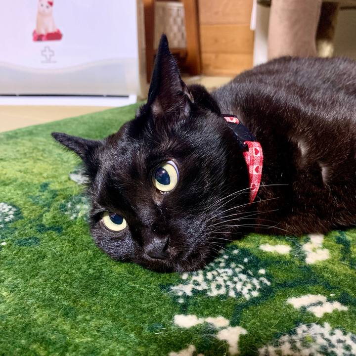 27784311 9a45 46af 87ec 1ca55e15e486 1645882099161