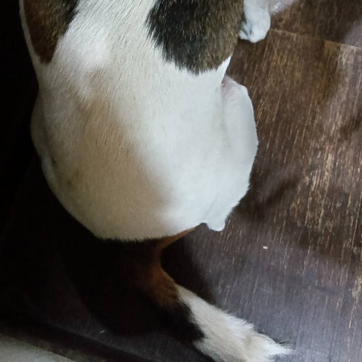 27787ce7 49b6 4392 8faf 430c4132e618 1731669459035