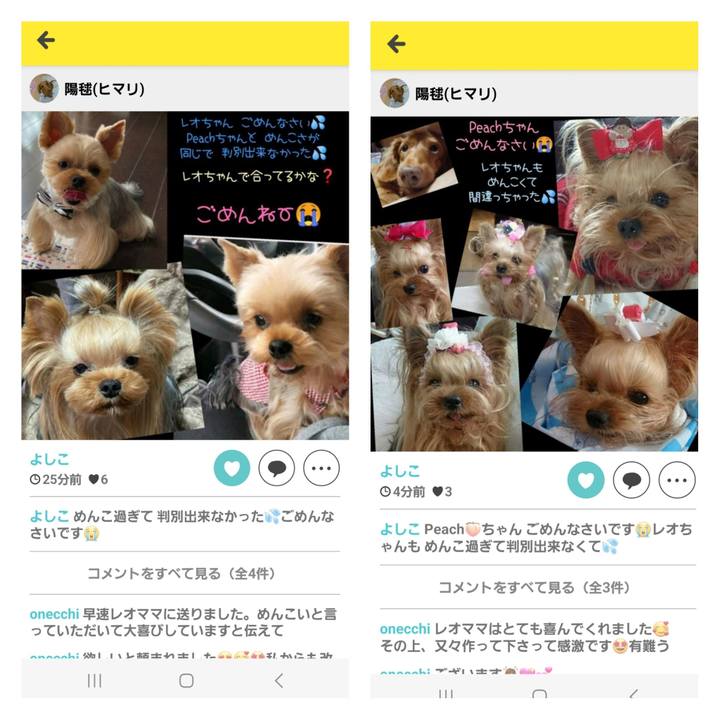 27788053 64ff 4151 98aa 4c70196594c4 1698928566264