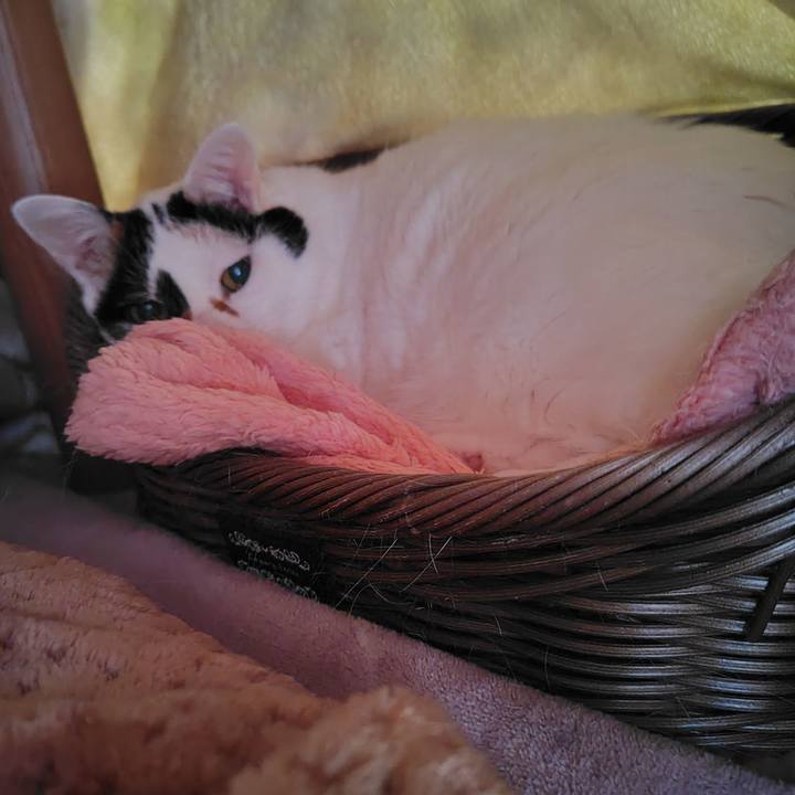 277885c3 cbaa 45af bfc9 66c786301015 1742902166673