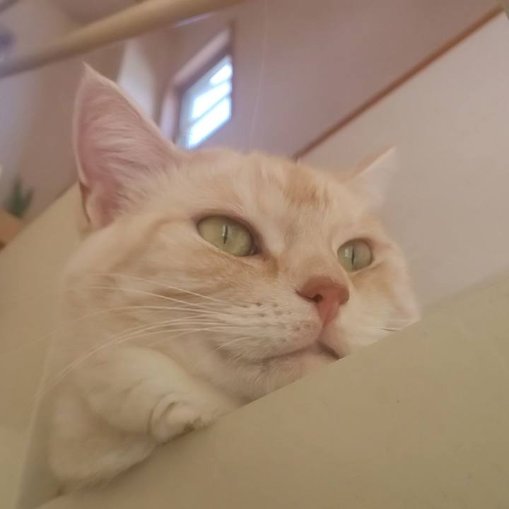 2778911d 6069 4b2a 8f17 34d10ee7c3a4 1596446278697