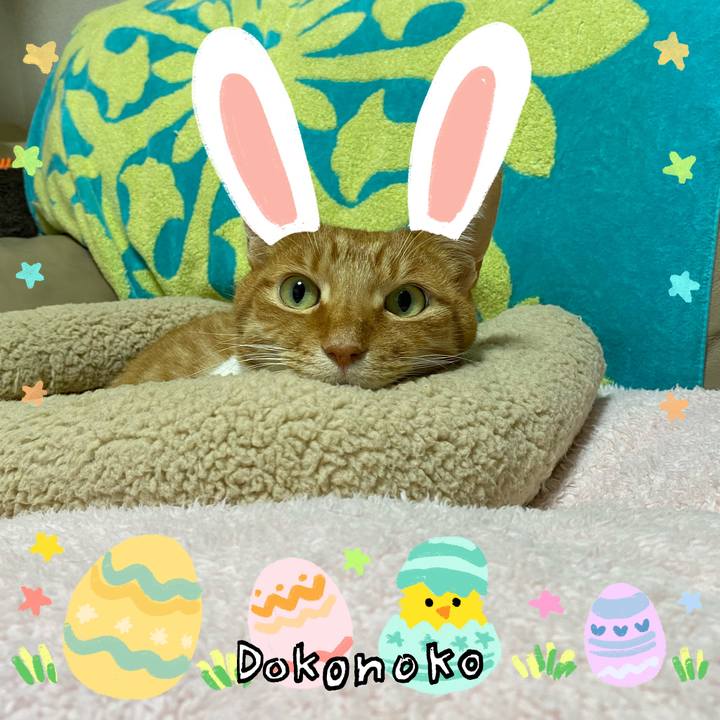 2778a45a 5380 4ece 995d e13d30f70d32 1712762164948