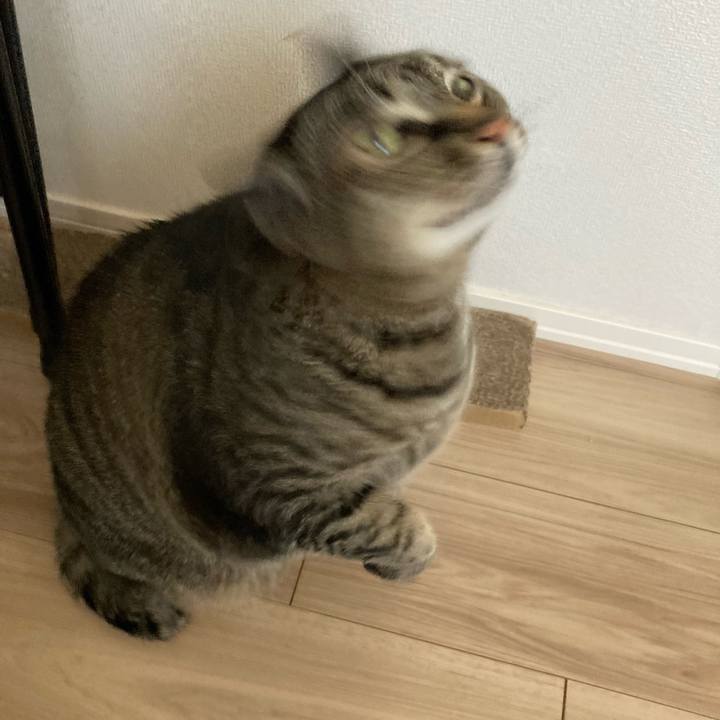 2778b7d7 a884 4d32 a59c 8ea317cec012 1710134187482