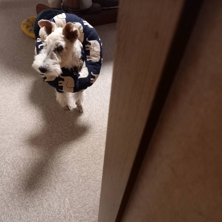 2778ec59 4c41 4b0e 841c 4b85b6511d6f 1640178062657