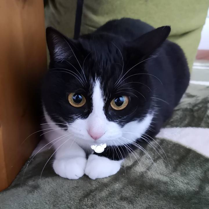 27792da6 157c 4aad 88a1 f0e732713f86 1584367508731