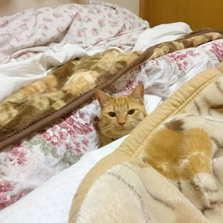 27795216 2be1 44d6 97fb 8d0ef50f8d20 1555217627651