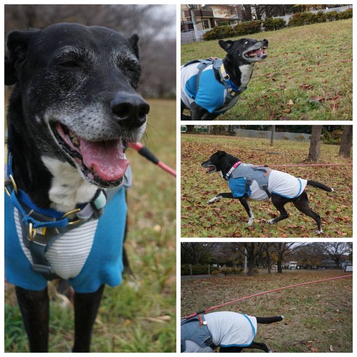 277962d6 161d 4198 a640 f7bb0a782902 1764638418186