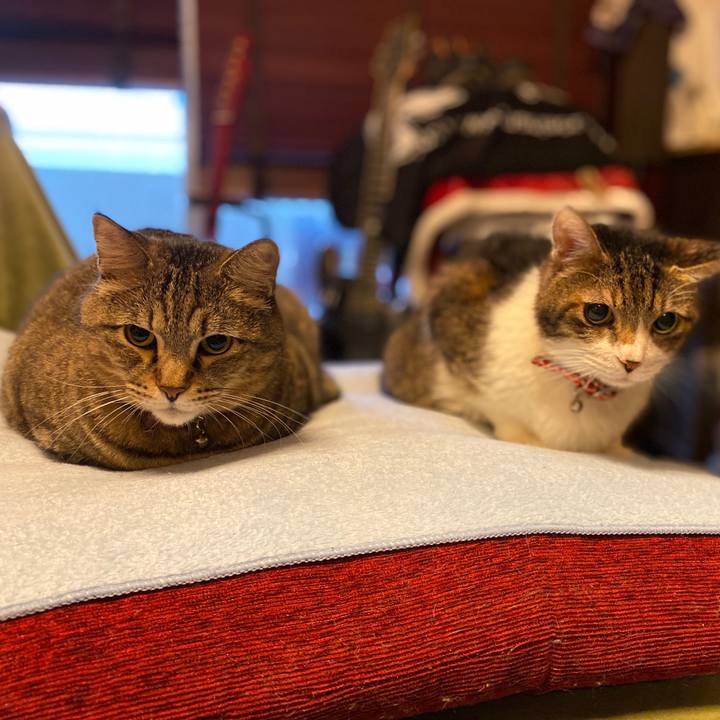 277976ed 54c7 4046 a2b5 a78e7a660b9a 1574923268689