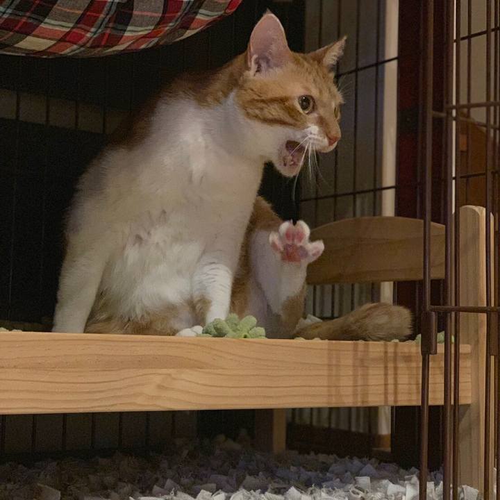 2779811e 3085 4968 ac1c 9a2871709519 1548720546177