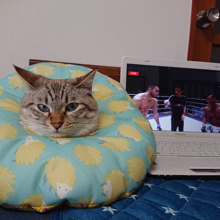 2779a38c b7db 40df 83f7 13ac25c54e06 1564300436376