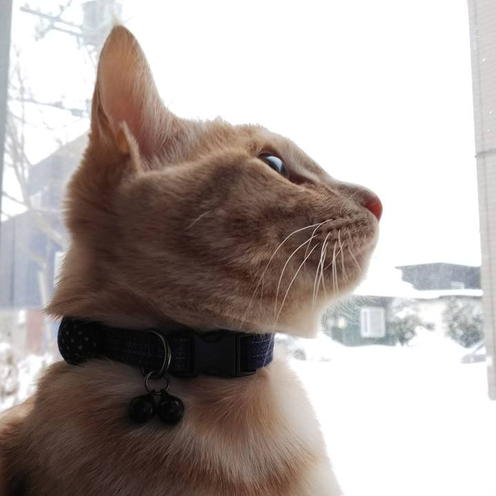 2779b92c 5c35 4af0 bd50 5bb75cda22cf 1546212604719