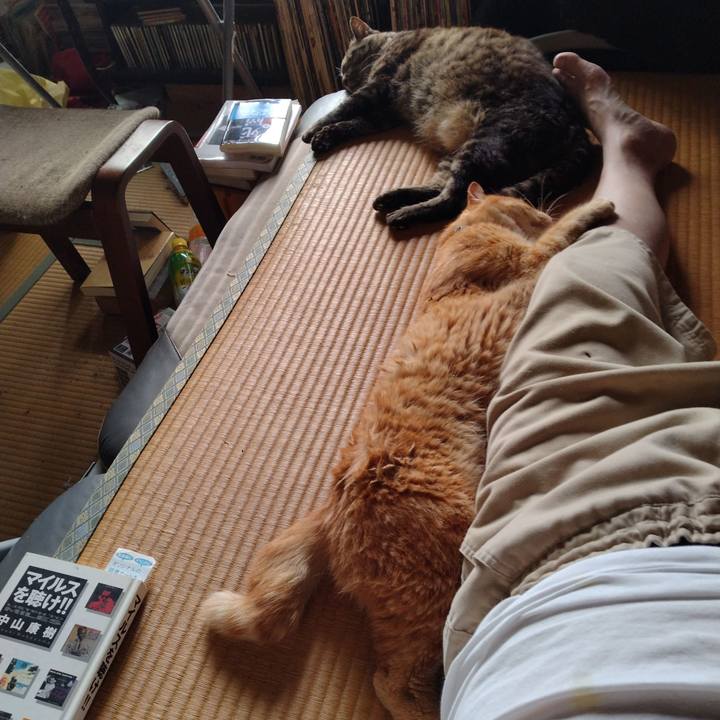 2779d78e 28dc 4d68 a415 37de15956794 1722309413687