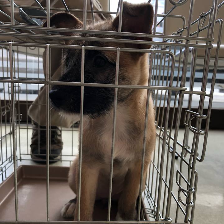 2779dc05 62f9 43f9 9199 74d407f0a4ea 1565485883393