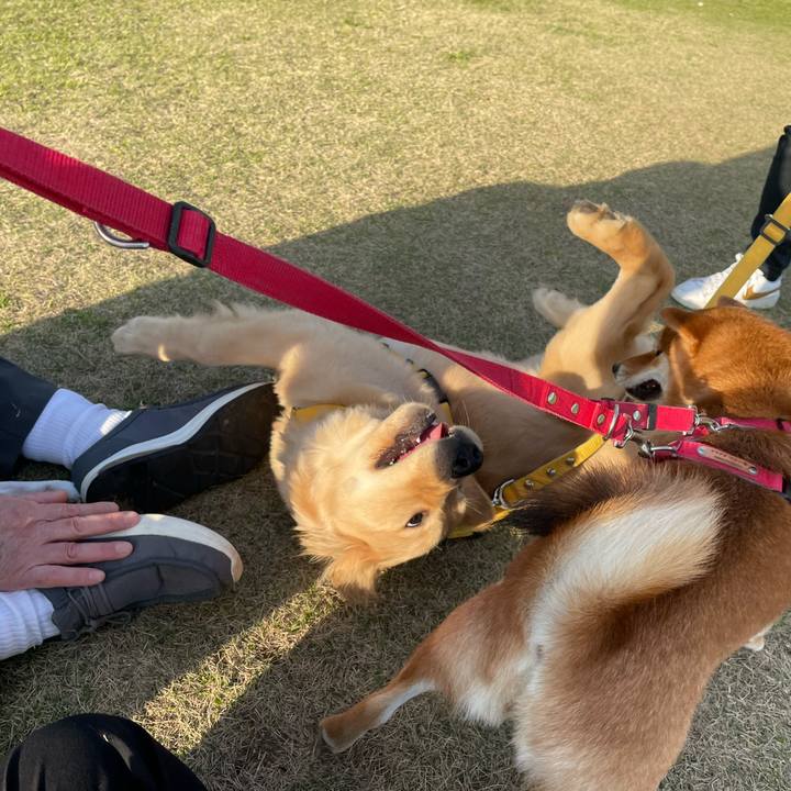 2779e69b e9ad 46b1 8f8e ce8a5264897e 1679223517652