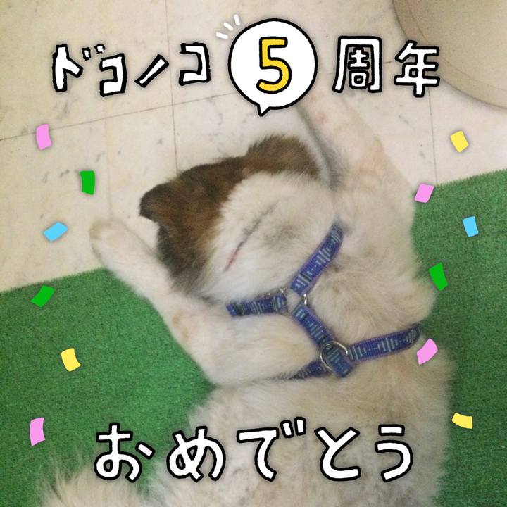 2779efa4 5182 43c2 a133 cfe7f717b2e6 1622875330873