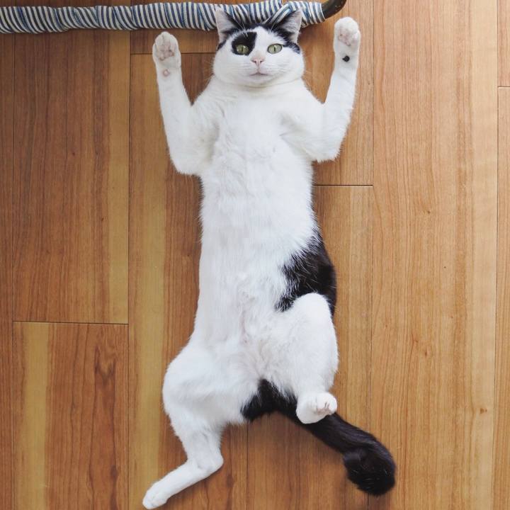 277a21aa d42b 4f04 b39e 884e09e56a14 1520746063489