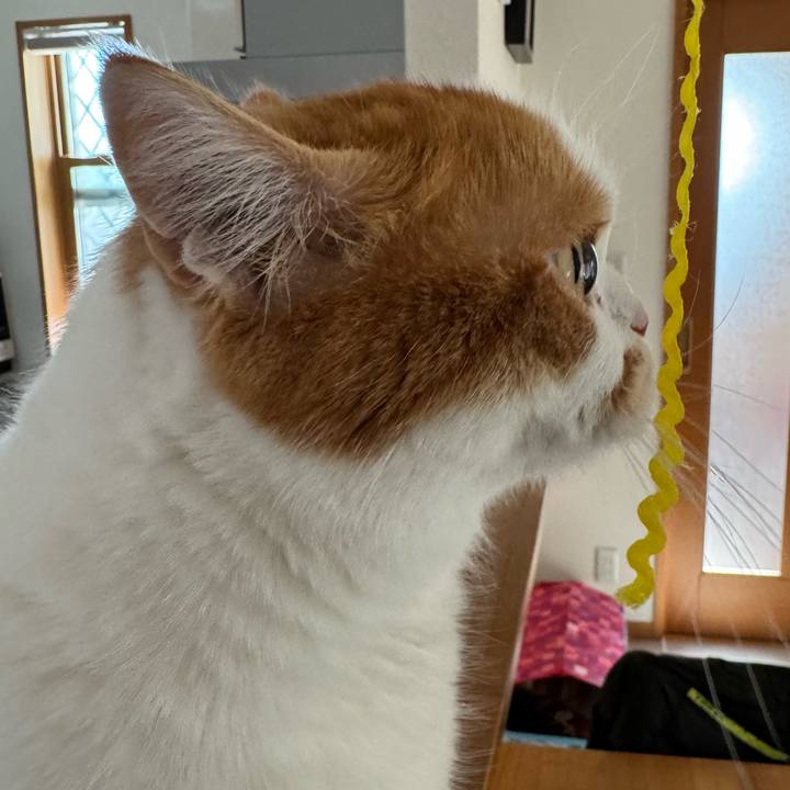 277a45f2 e6f5 4c23 a050 87425ddad17f 1776305748872