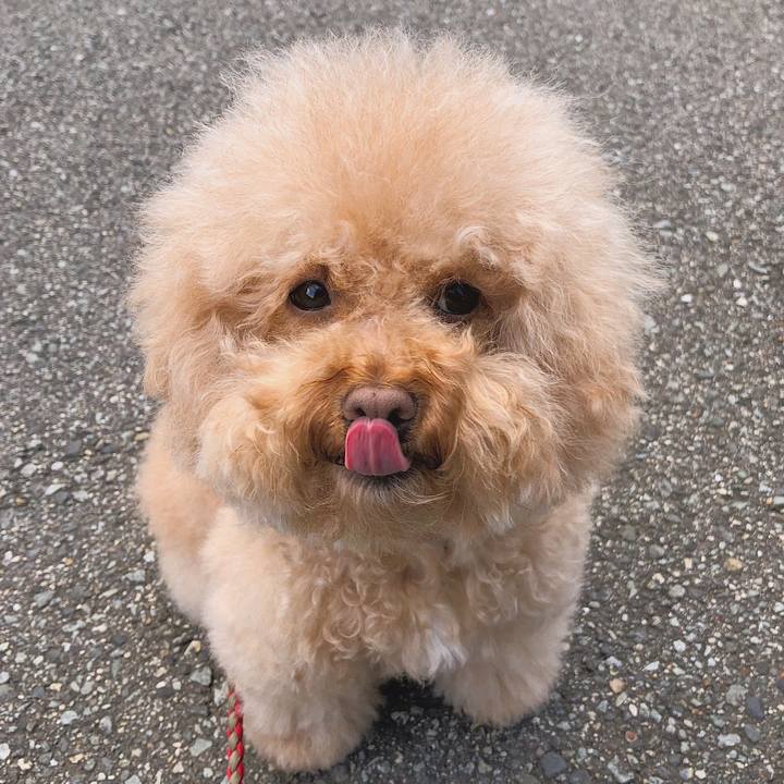 277a8dee 00b1 48ba b625 77c36cfabec7 1528851878063