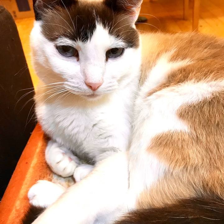 277a8df4 8776 4159 be7c 2701b84bab76 1552010980643