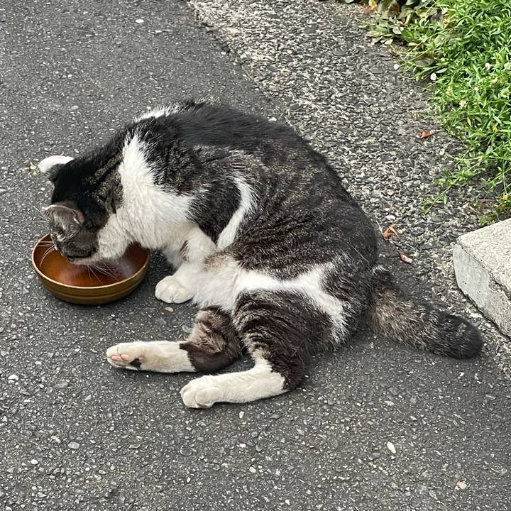 277a90b1 c2fe 4b0f 92fb 916a87b4ccc9 1626088754013