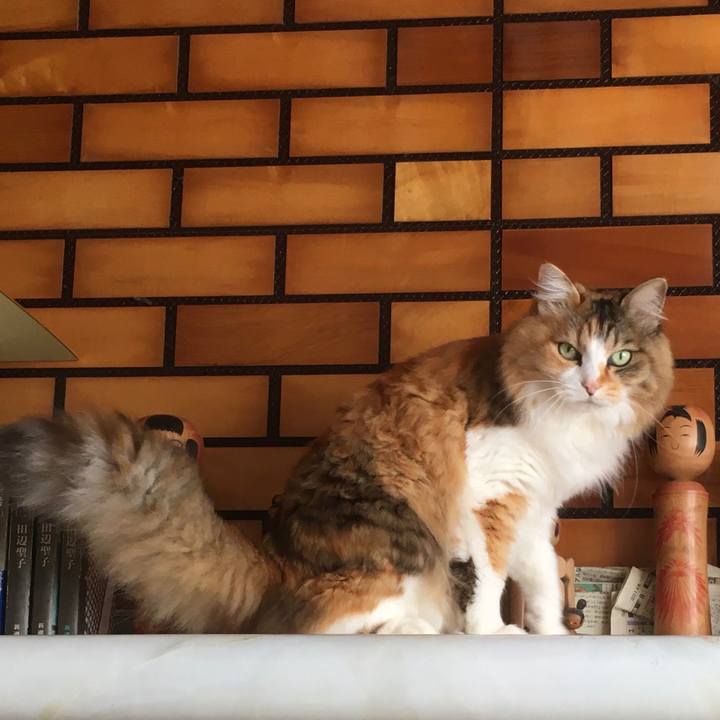 277a9a2c 4f06 4000 b3bb 8f20c8c91b61 1587097917607