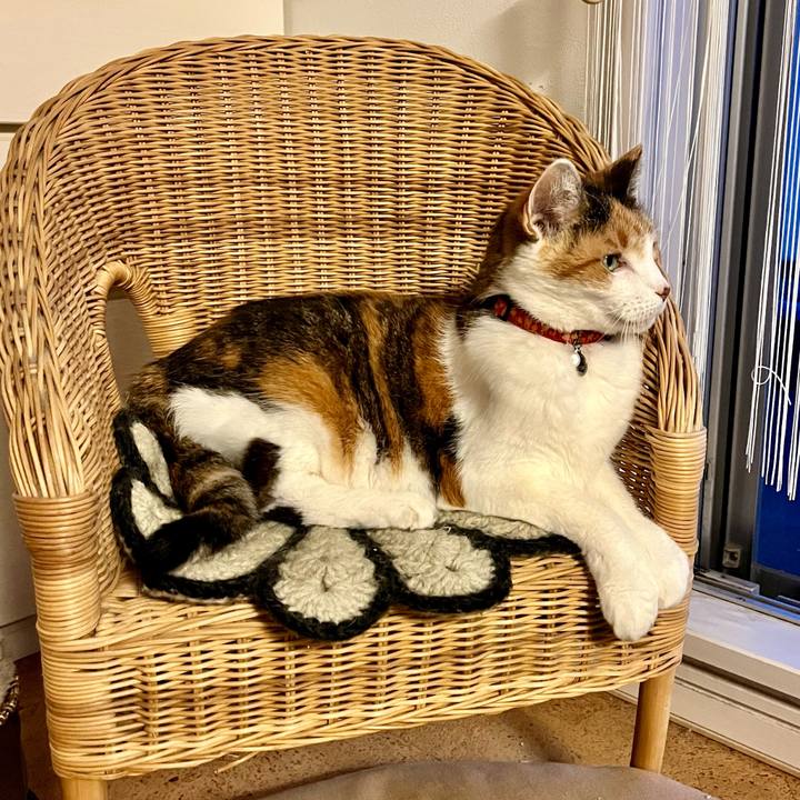 277ab6c1 c7da 4585 b3bb ab36a1ef31cb 1684664683669