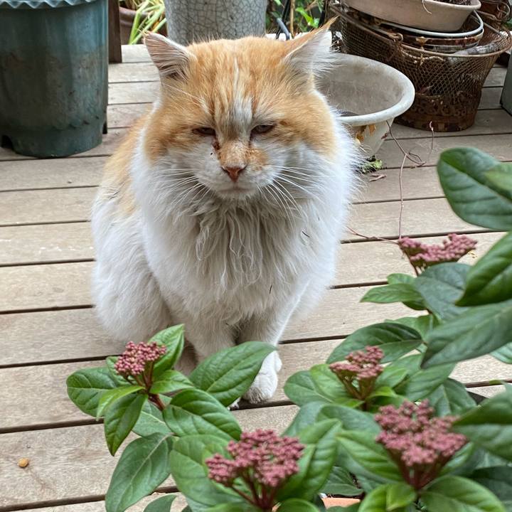 277ac477 f1b2 46fb 9e60 2571e27f0573 1707103541296