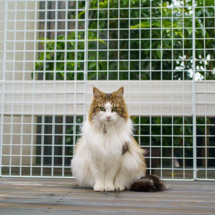 277adc49 87a9 498e 83c2 d861d3fd49da 1653208065447