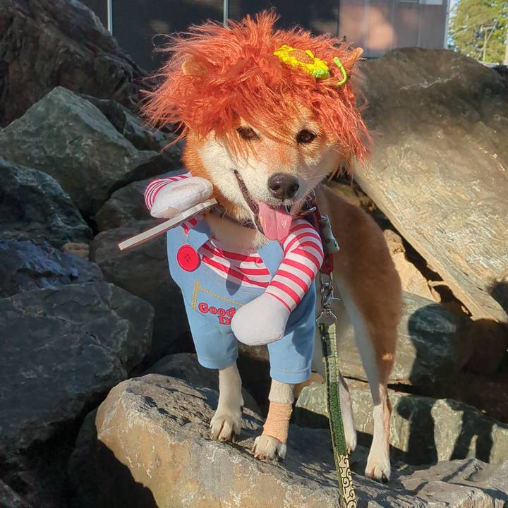 277af079 6dd3 42be 823d 4b05d4fbe966 1725669136937