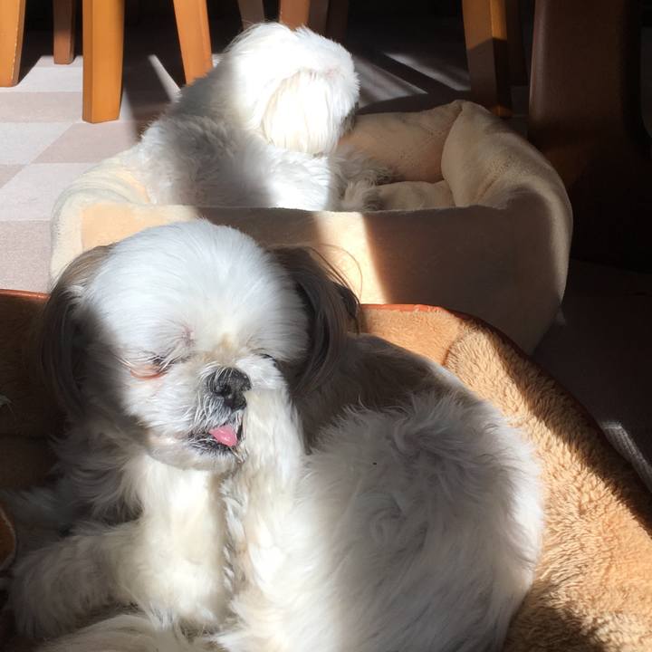 277b0664 b4d3 4fc7 ae86 63de91b7b232 1545964145521